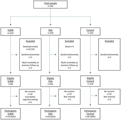 Neurocognitive function and associations with mental health in adults born preterm with very low birthweight or small for gestational age at term